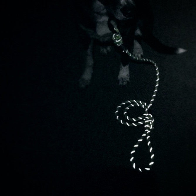 Alpine Reflective Leash - 5 ft