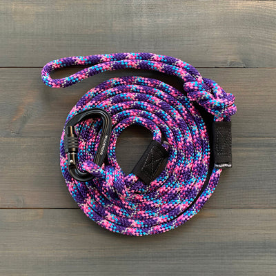 Razzleberry Reflective Leash - 5 ft